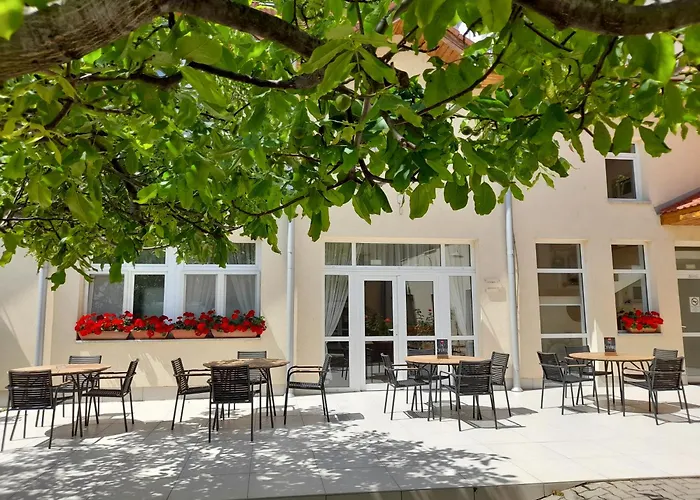 Hotel Platan